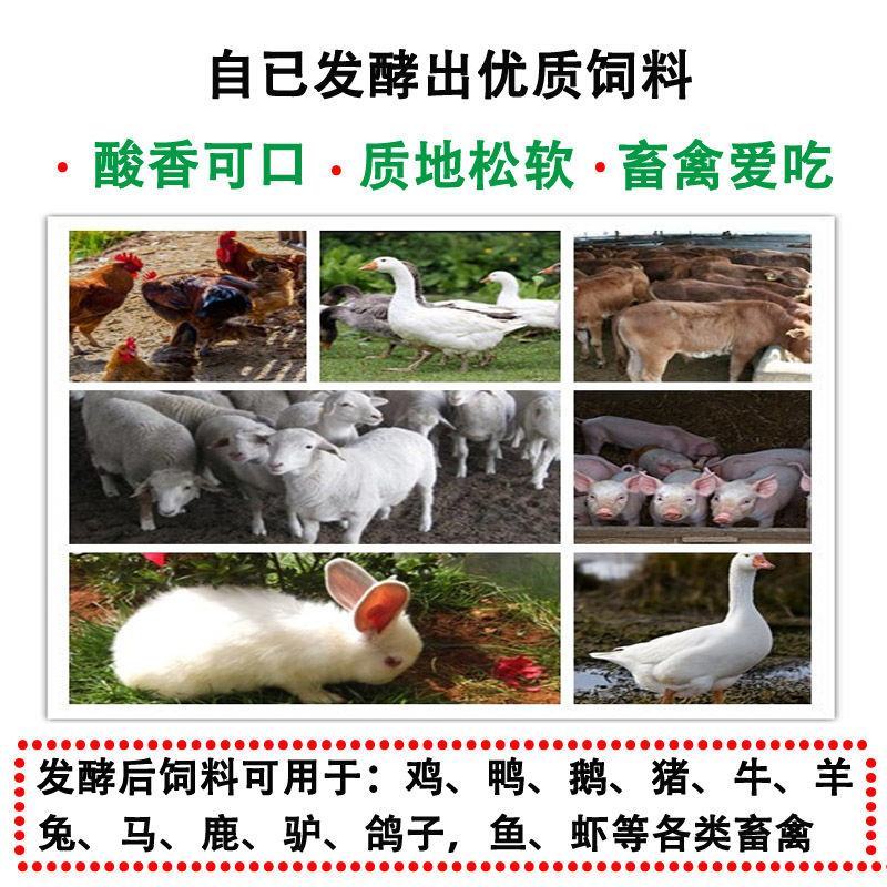 养殖饲料发酵剂豆渣发酵粉喂鸡酒糟豆腐渣饼粕米糠发孝养猪