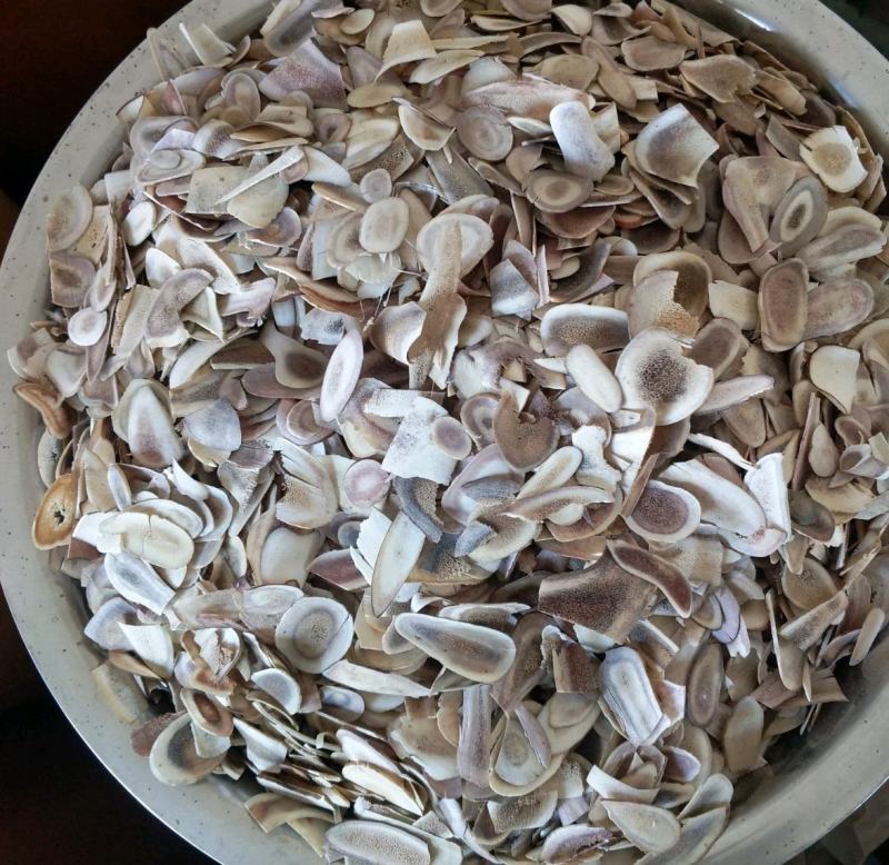 振兴药材批发供应量大从优