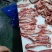 牛腹肉条,烧烤,炖,专用产品,大小包装可定做品质保证