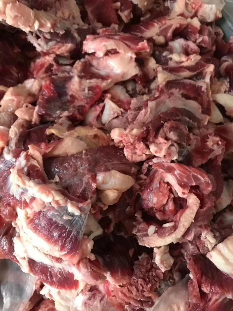 牛碎肉，八比二比例，质量稳定，长期有货品质保证服务周到
