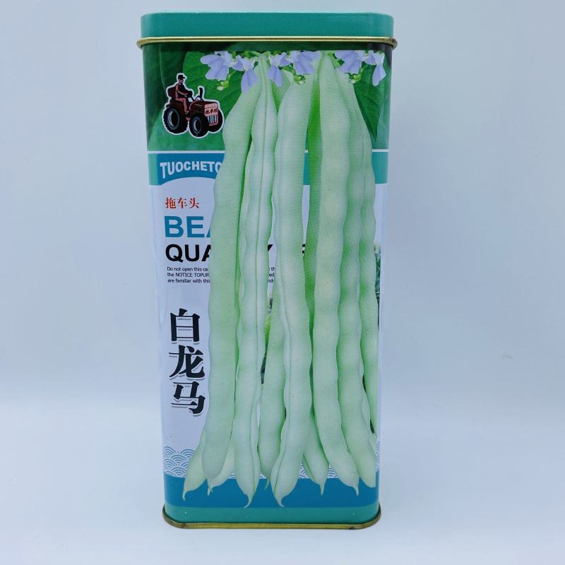 高产宽扁芸豆种子三扁二扁芸豆种子四季豆种子无筋架豆种