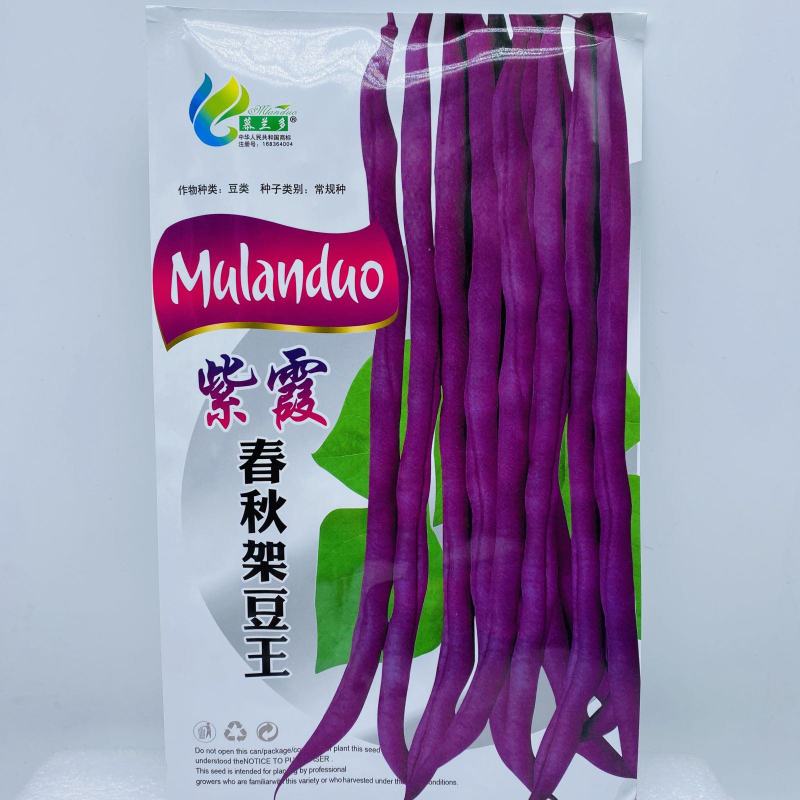 高产宽扁芸豆种子三扁二扁芸豆种子四季豆种子无筋架豆种