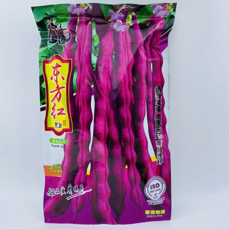 高产宽扁芸豆种子三扁二扁芸豆种子四季豆种子无筋架豆种