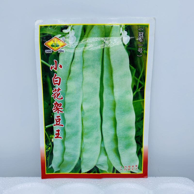 高产宽扁芸豆种子三扁二扁芸豆种子四季豆种子无筋架豆种