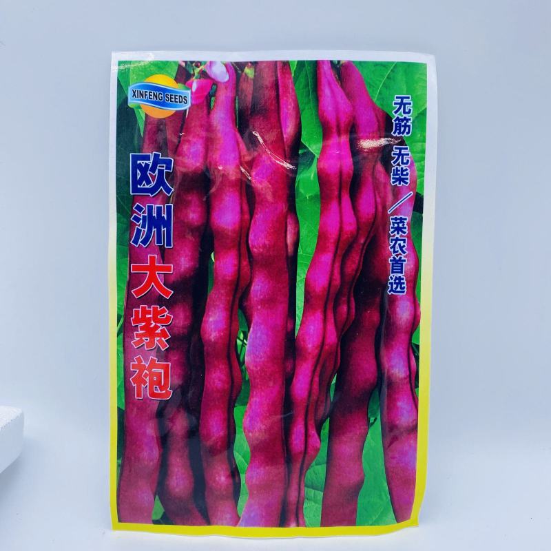 高产宽扁芸豆种子三扁二扁芸豆种子四季豆种子无筋架豆种