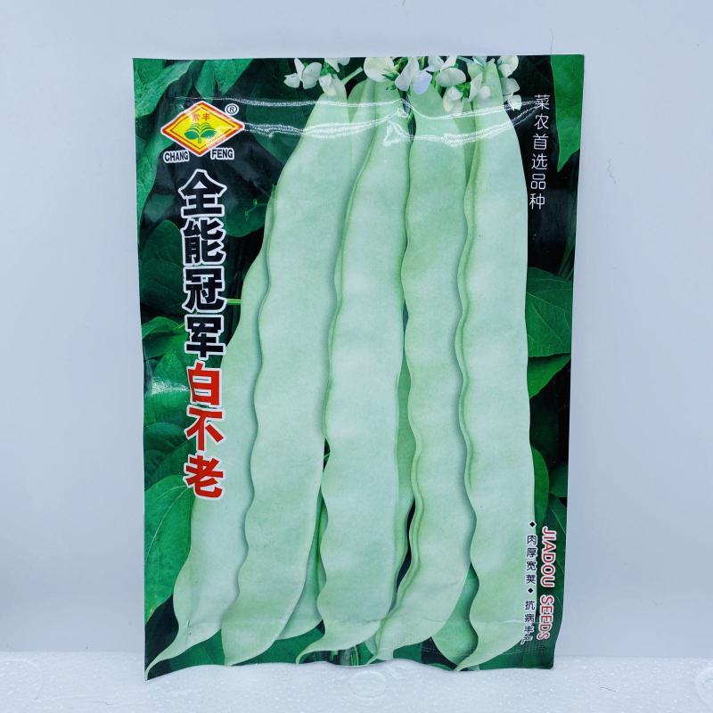 高产宽扁芸豆种子三扁二扁芸豆种子四季豆种子无筋架豆种