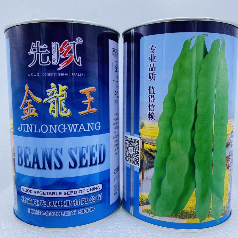 高产宽扁芸豆种子三扁二扁芸豆种子四季豆种子无筋架豆种