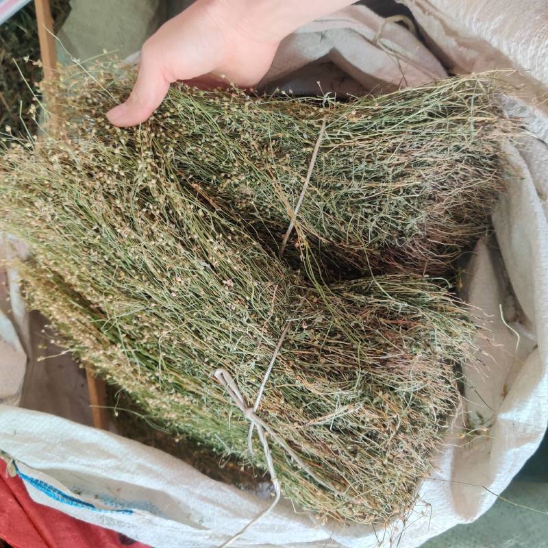 新货四合莲干货四叶莲四合梅天良草新晒优质