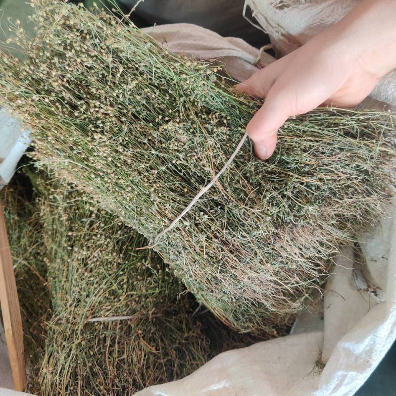 新货四合莲干货四叶莲四合梅天良草新晒优质