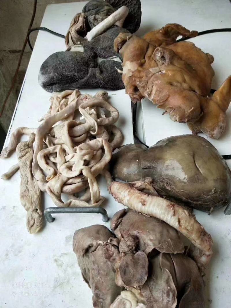 五香全套羊杂，可切丝，五斤真空包装，直接食用，品质保证