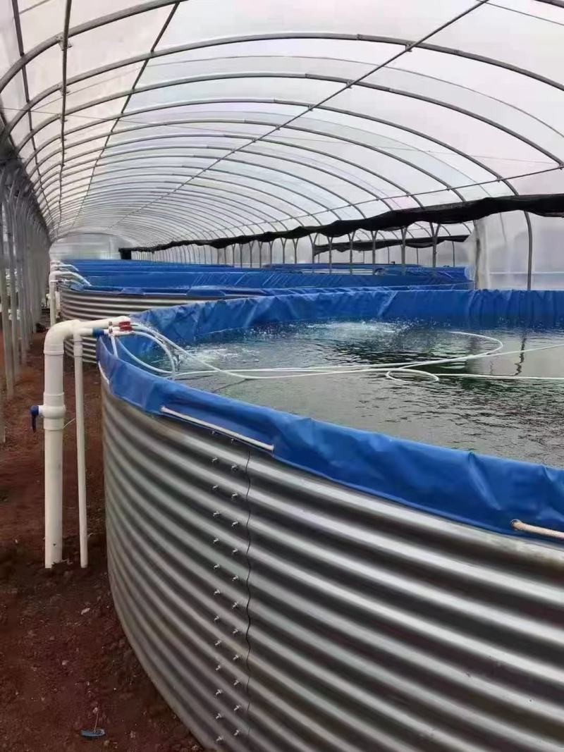 圆形镀锌板帆布鱼池铁桶高密度水池养鱼刀刮布鱼池档板全国