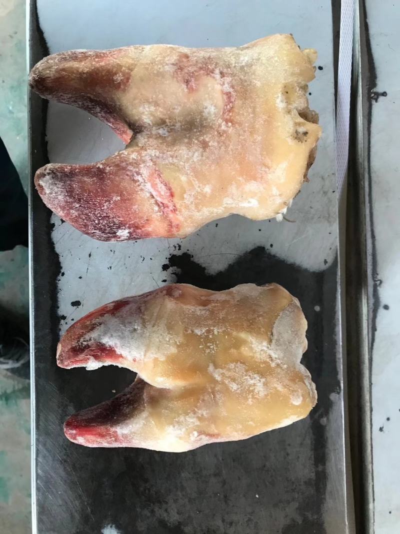 水腿毛半去骨牛蹄，火烧毛去骨牛蹄，牛脚掌，