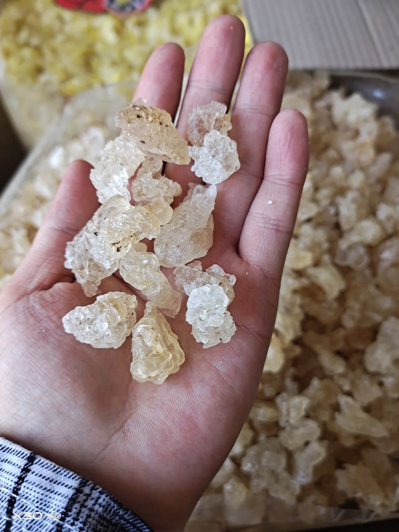雪燕拉丝雪燕雪燕2A3A4A干净饱满中药