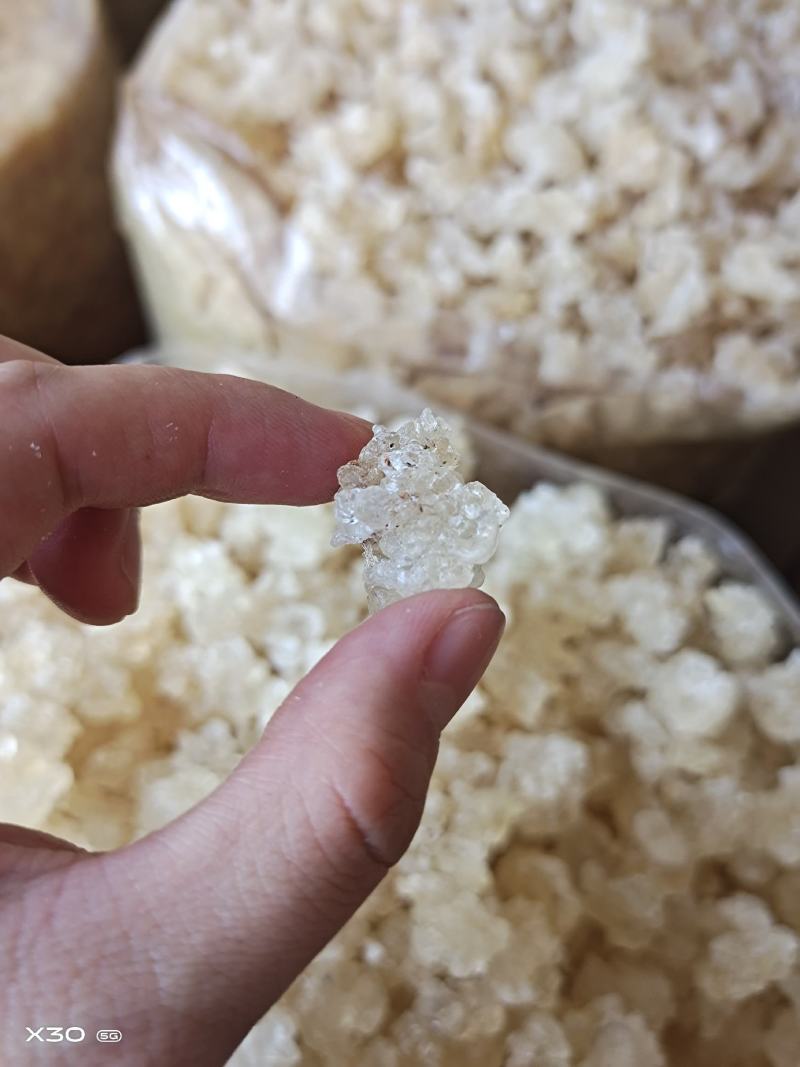 雪燕拉丝雪燕雪燕2A3A4A干净饱满中药