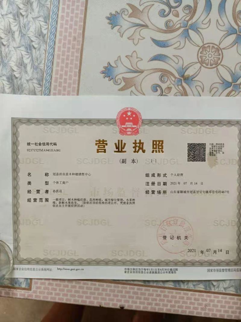中油油桃，大量上市，货源充足，欢迎电商，批发市场老板来购