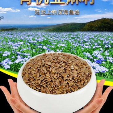 棕色亚麻籽大小均匀可榨油、精选无杂质大量现货批发。