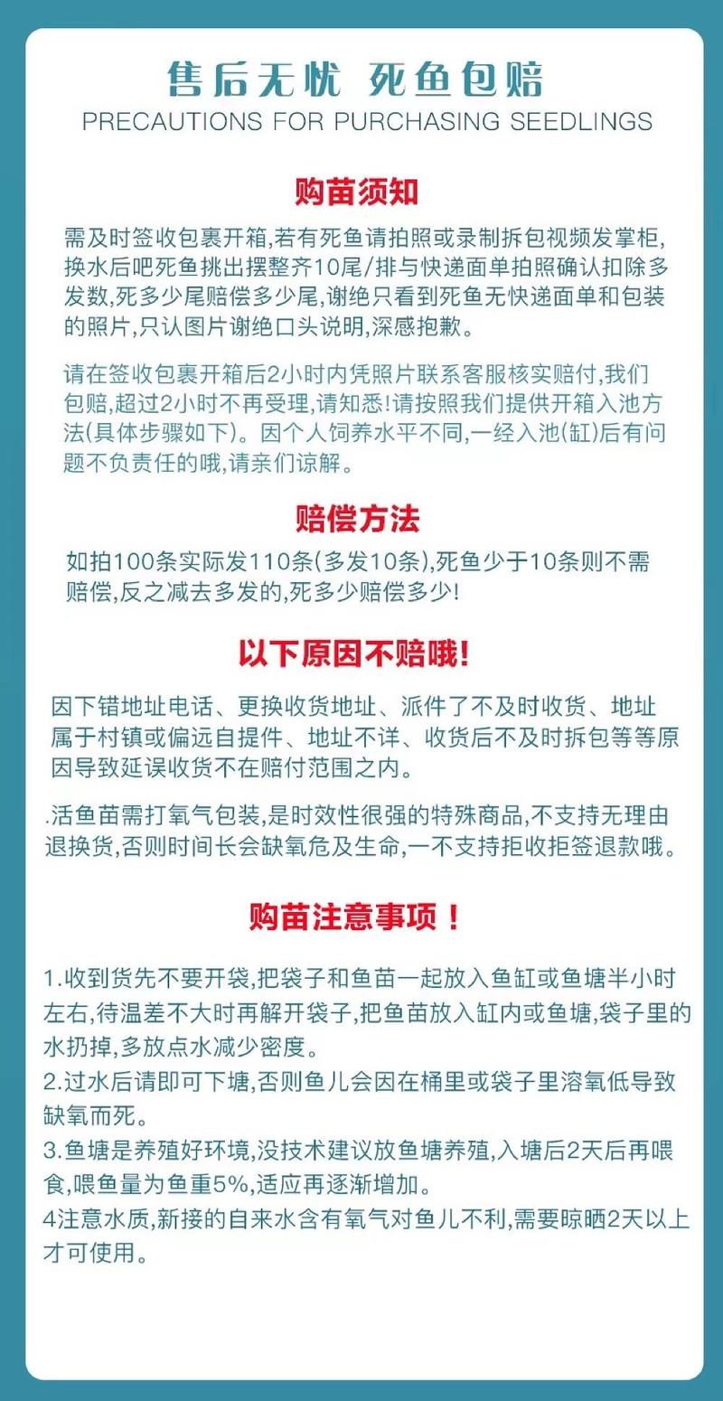 埃及塘鲺鱼苗革胡子鲶鱼苗埃及胡子鲶鱼苗易养好活