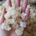 雪燕拉丝雪燕无硫干货2A3A4A规格齐全
