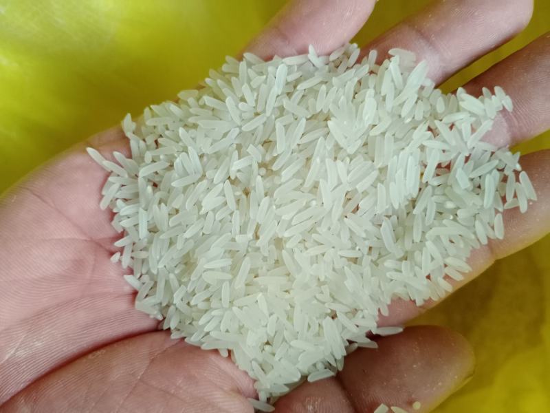 昱香两优馥香占