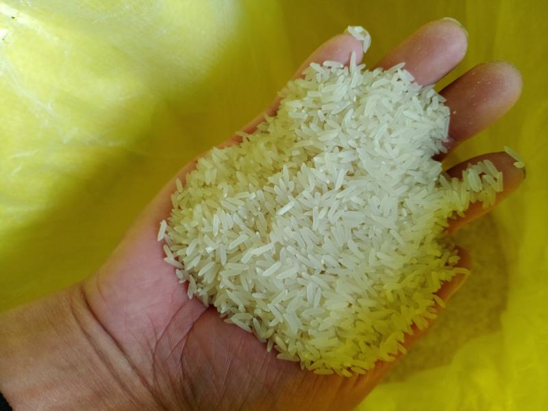 昱香两优馥香占