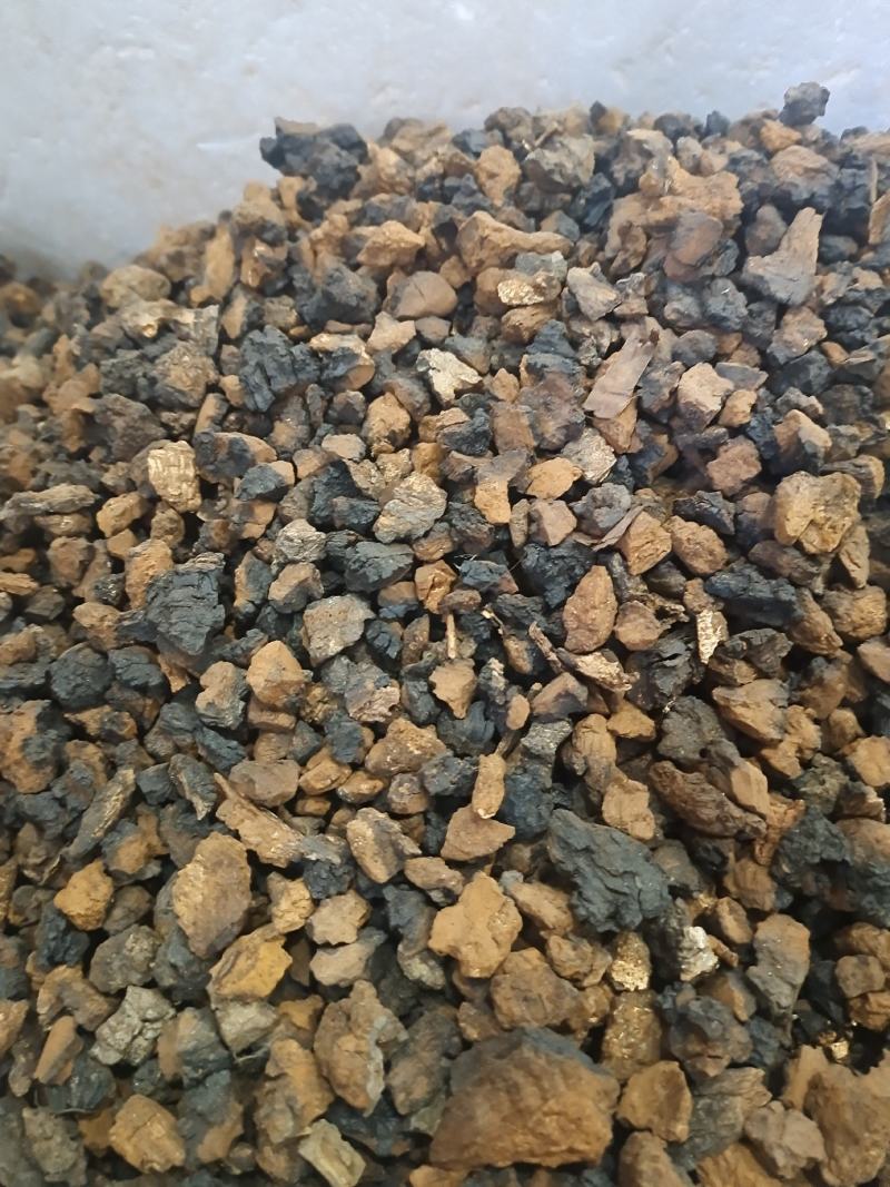 桦树茸野生桦树茸桦褐孔菌保证正品黑金颗粒可打粉