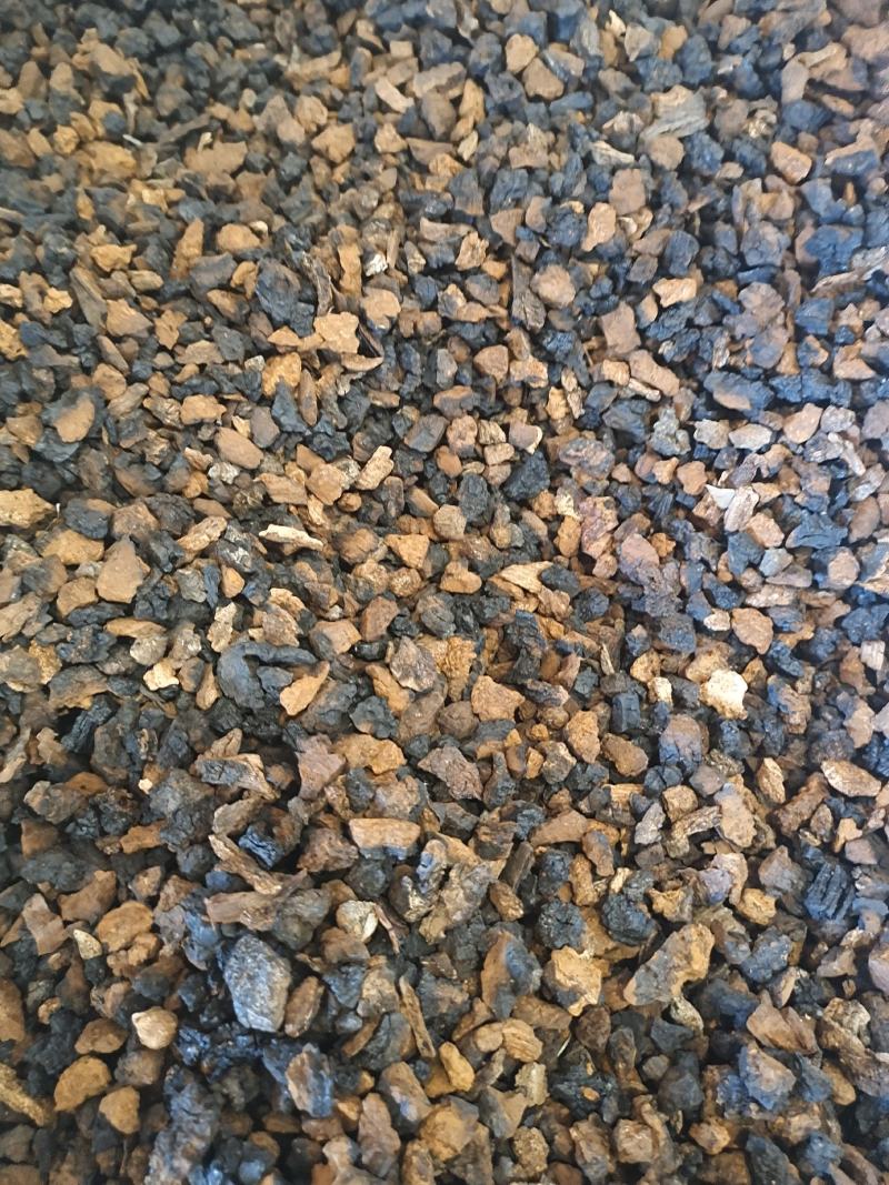 桦树茸野生桦树茸桦褐孔菌保证正品黑金颗粒可打粉