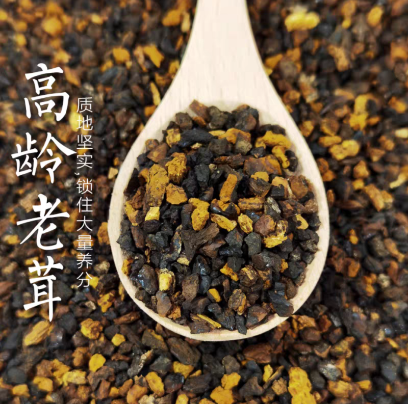 桦树茸野生桦树茸桦褐孔菌保证正品黑金颗粒可打粉