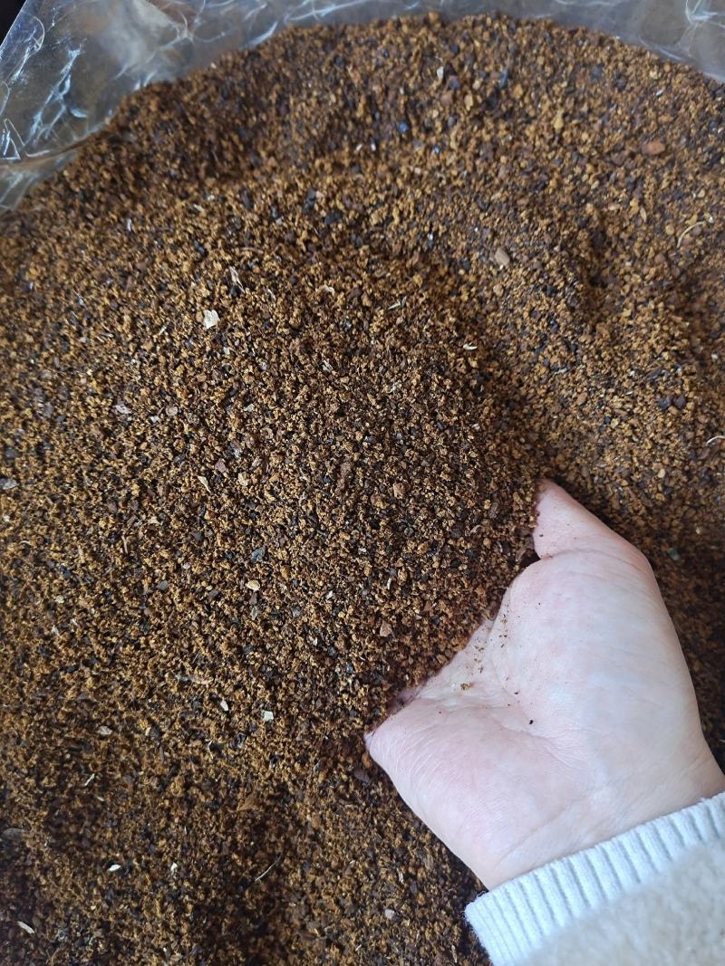 桦树茸野生桦树茸桦褐孔菌保证正品黑金颗粒可打粉