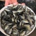 热销鱼苗品种：罗非鱼苗，大众点评高，畅销好，肉质好！