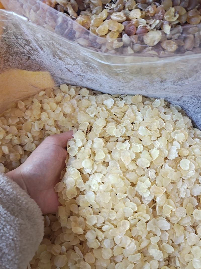 雪莲子单荚双荚大片有组合套餐放心购