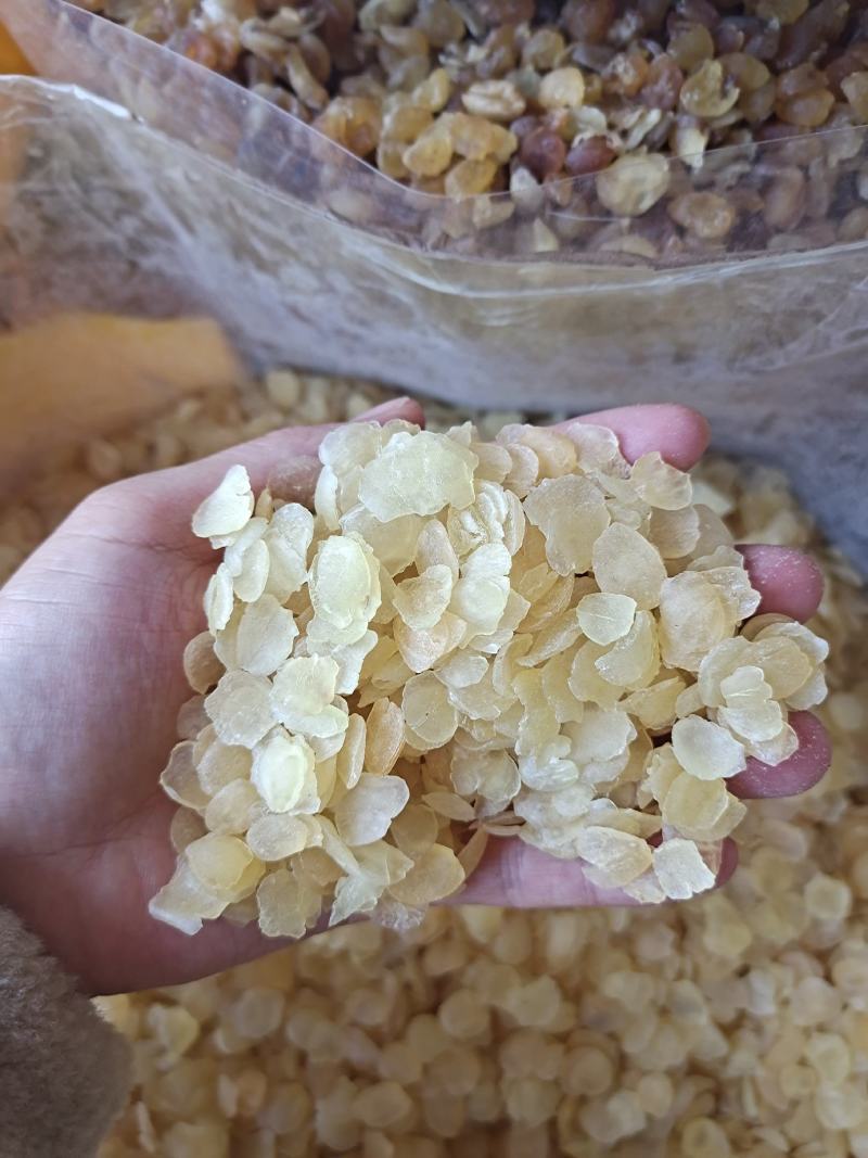 雪莲子单荚双荚大片有组合套餐放心购