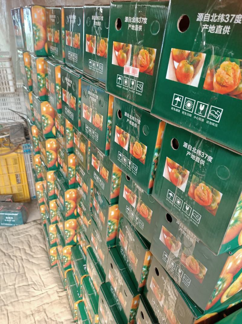 草莓西红柿产地直供，量大优惠，诚信合作，海阳特产