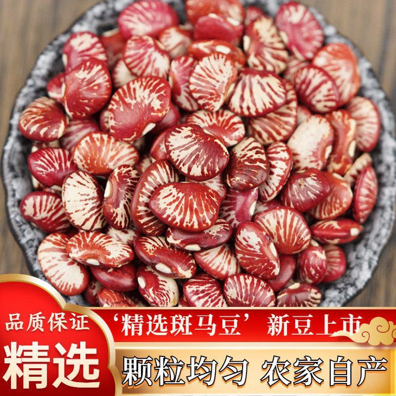 【推荐】斑马豆，花腰豆，红花豆2024新斑马豆货源充足量