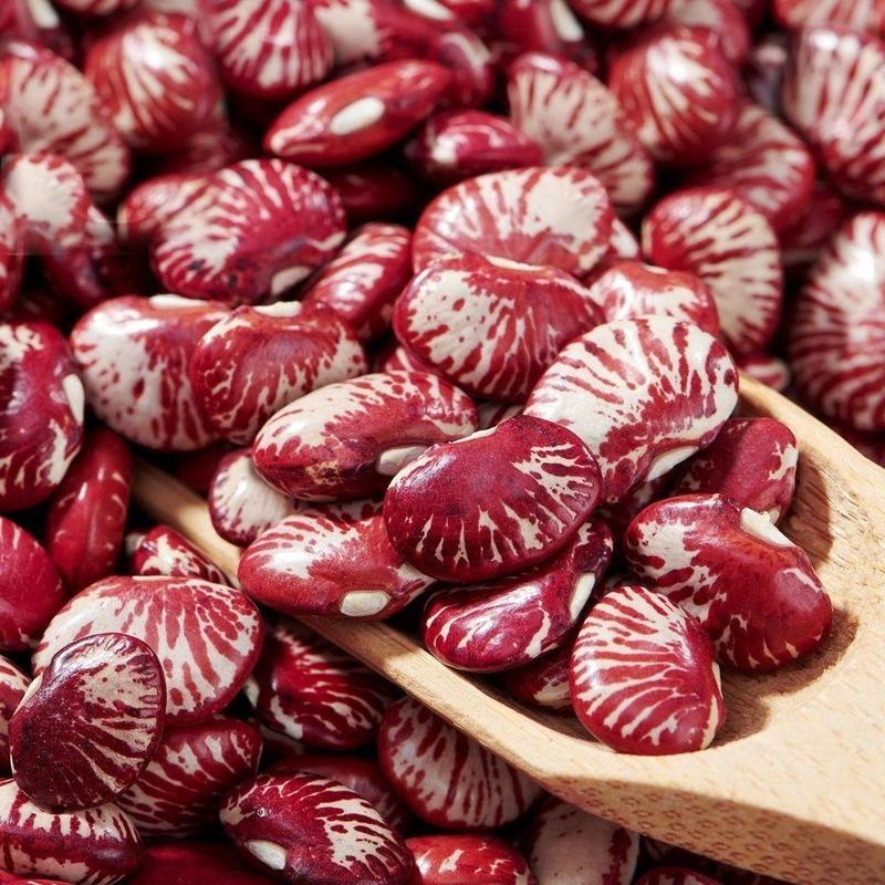 【推荐】斑马豆，花腰豆，红花豆2022新斑马豆货源充足量