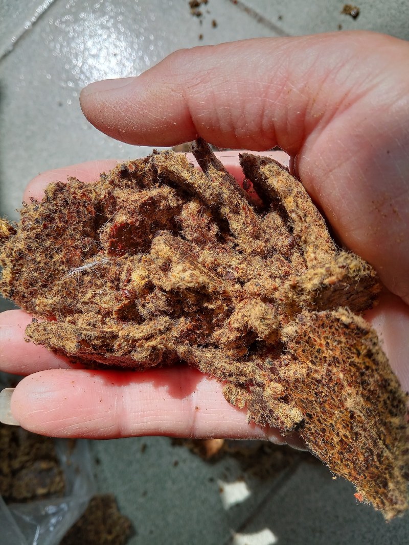 尊敬的客户们蓖麻子饼棉籽饼菜籽饼有机质含量高氮