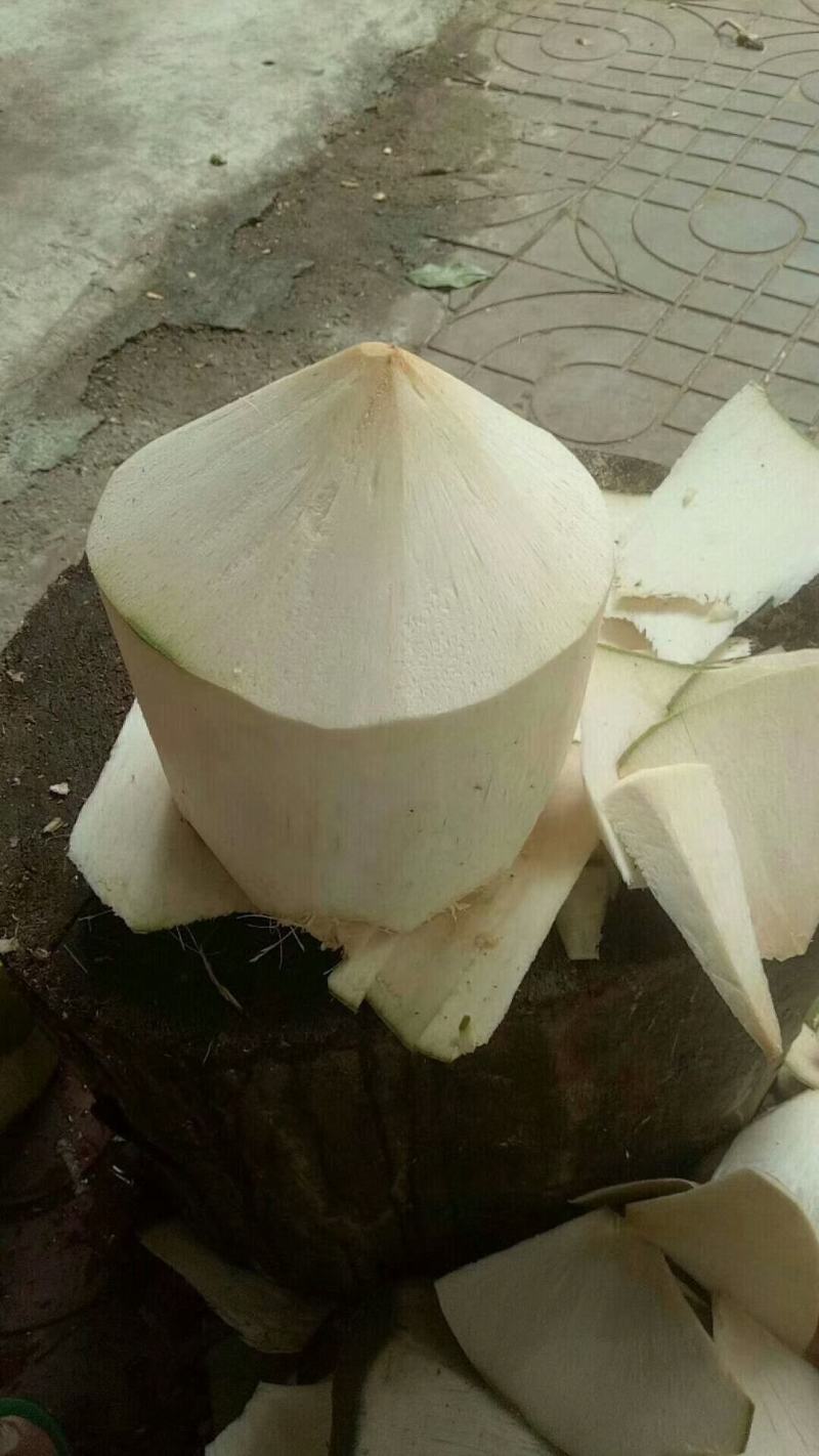 海南椰子去皮椰青大果