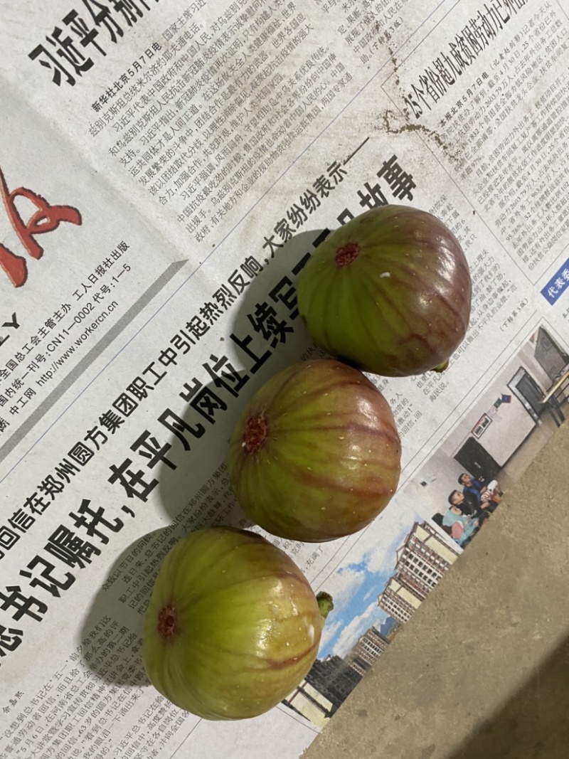 无花果
