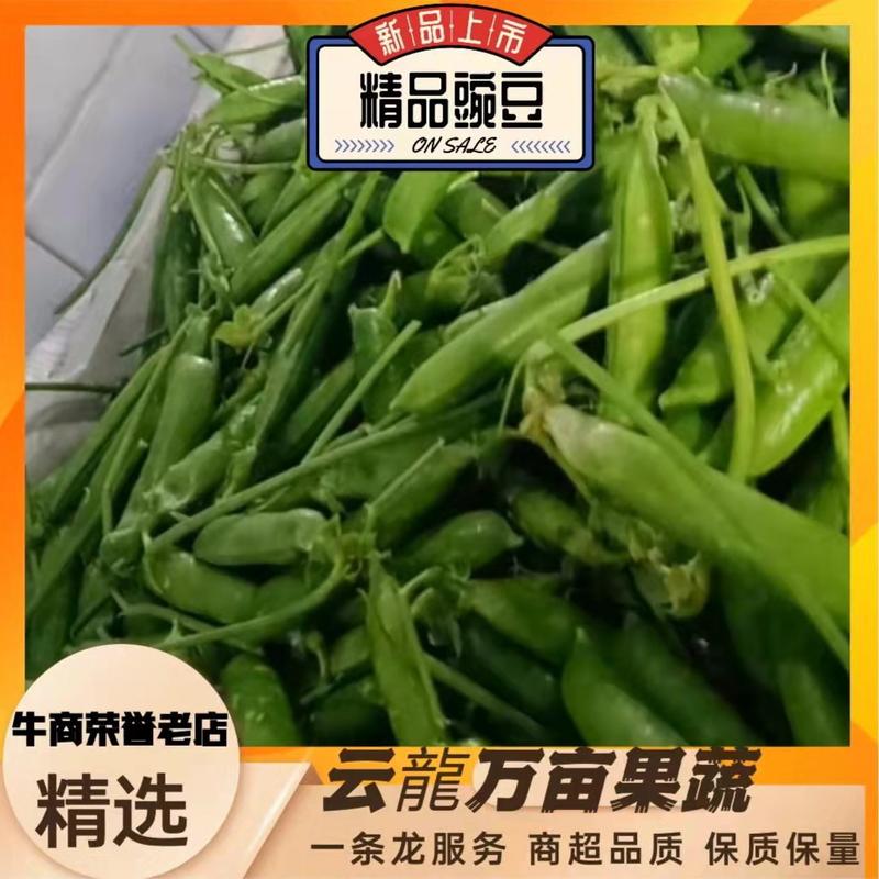 【产地直发】云南新鲜豌豆带壳豌豆荚农家蔬菜青豌豆视频看货