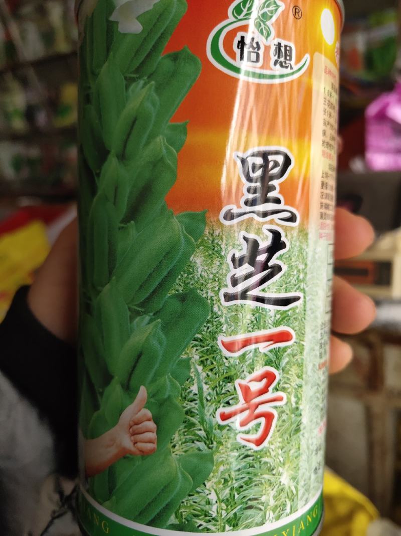 怡想黑芝麻一号种子，高油高产抗病，一代原种