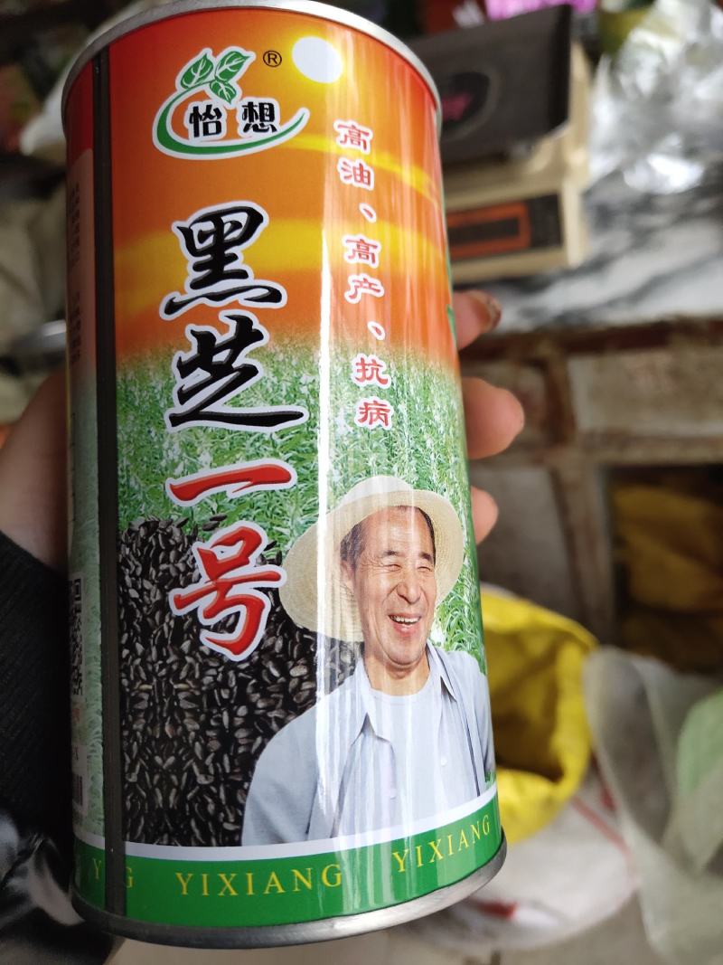 怡想黑芝麻一号种子，高油高产抗病，一代原种
