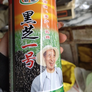 怡想黑芝麻一号种子，高油高产抗病，一代原种