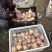 砀山红富士苹果。基地直供。一手货源。价钱便宜。有需要联系