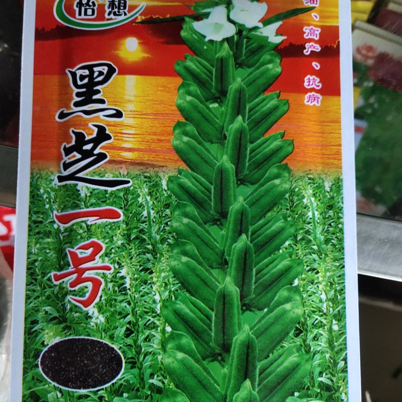 怡想黑芝麻一号种子，高油高产抗病，一代原种