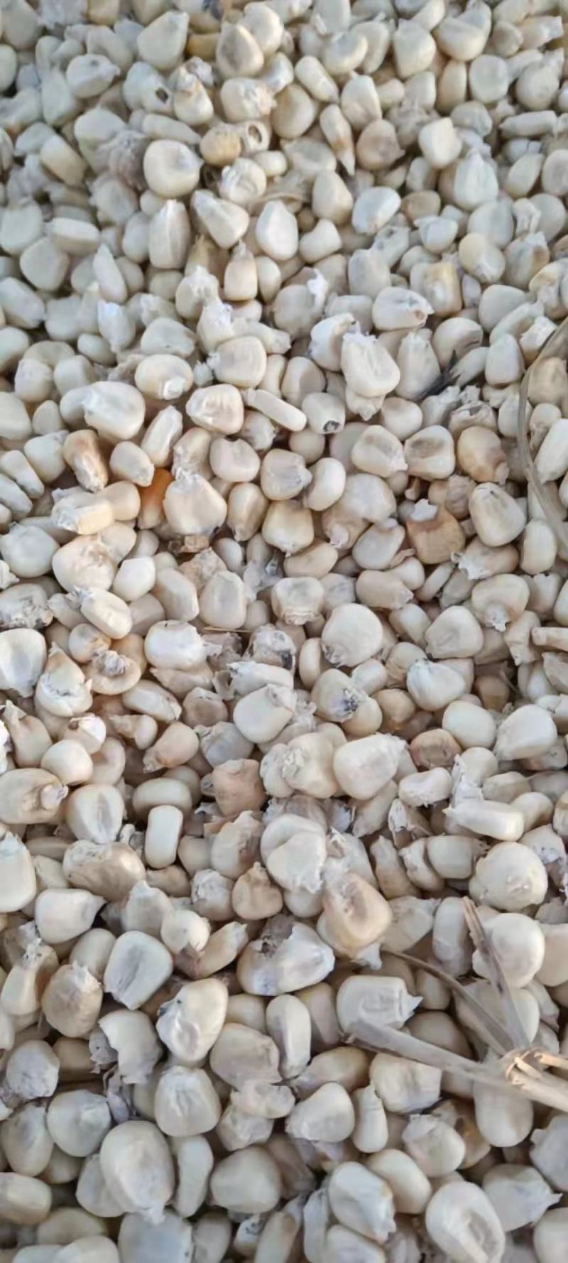 白玉米面，普通白玉米碴，玉米面粉，白玉米碴，糁，渣