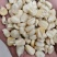 白玉米面，普通白玉米碴，玉米面粉，白玉米碴，糁，渣