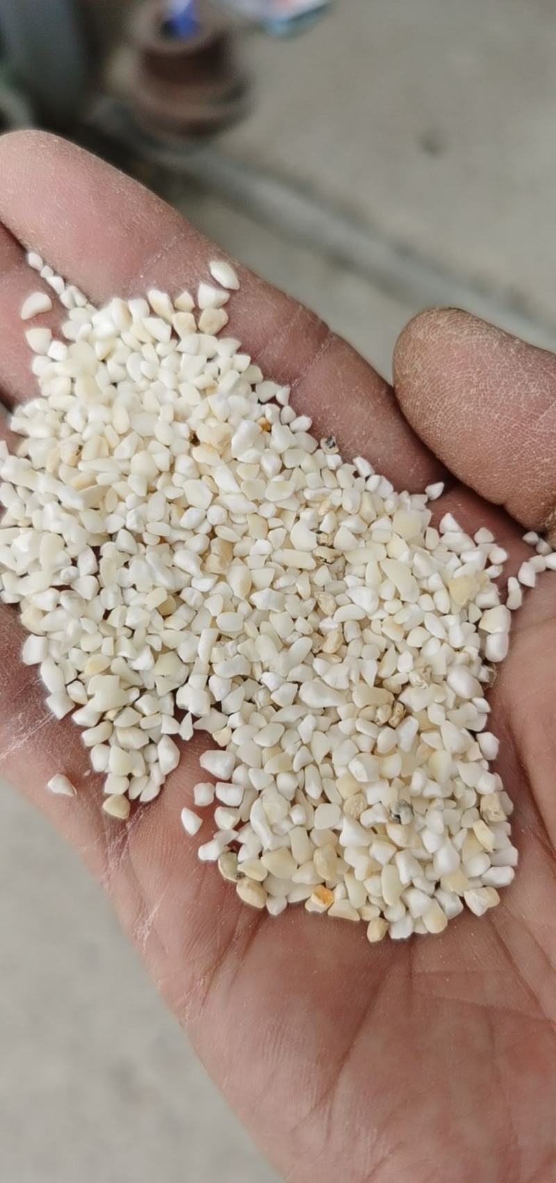 白玉米面，普通白玉米碴，玉米面粉，白玉米碴，糁，渣