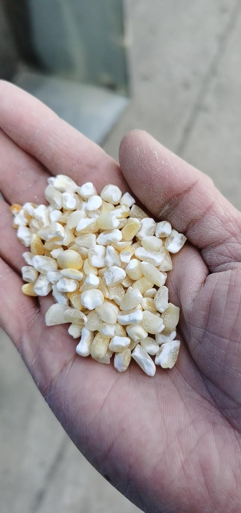 白玉米面，普通白玉米碴，玉米面粉，白玉米碴，糁，渣