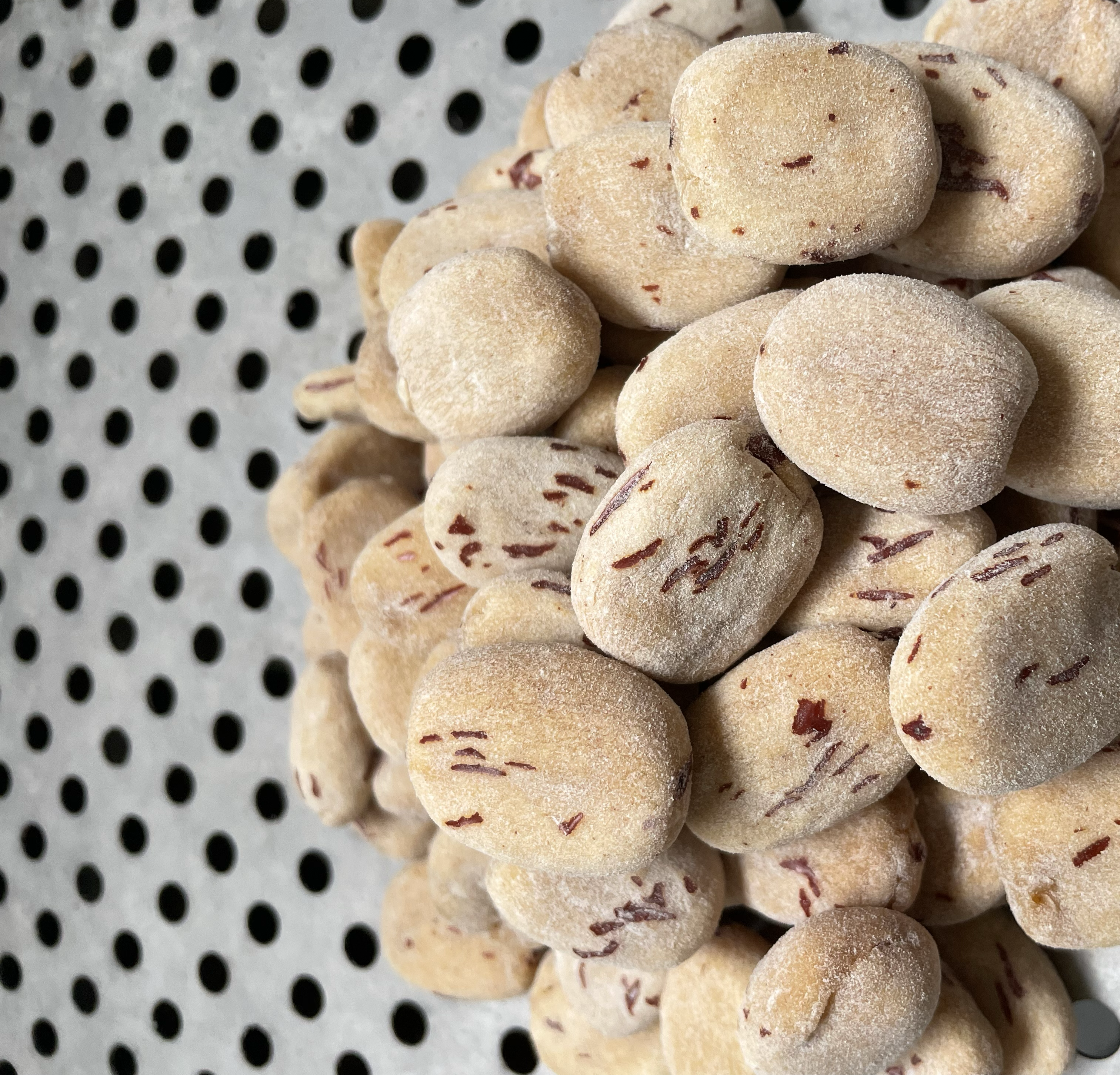 展示三组不同干燥程度的干红枣片:左侧为正常干燥(含水率约20%),呈深红色、质地柔软;中间为轻度过干(含水率12%-15%),颜色偏暗、表面皱缩明显;右侧为严重过干(含水率<10%),呈现黑褐色、质地坚硬易碎。背景为白色衬布,光线柔和,突出样品差异 干红枣片不同干燥程度对比图