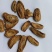 牛蒡牛蒡根各种养生花茶中药材批发诚信经营地道药材