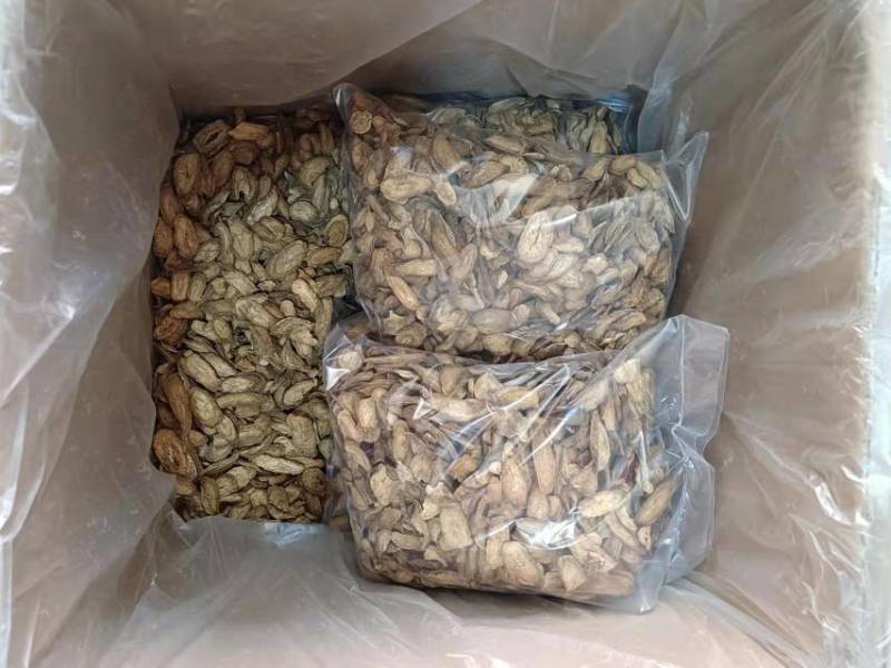 牛蒡牛蒡根各种养生花茶中药材批发诚信经营地道药材